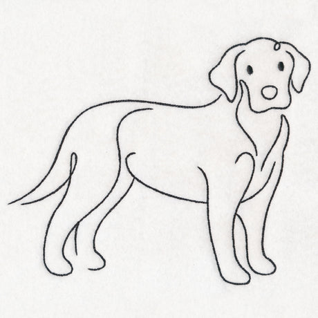 Top of the Line - Labrador