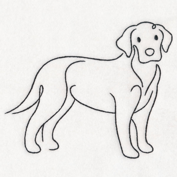 Top of the Line - Labrador