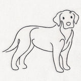 Top of the Line - Labrador