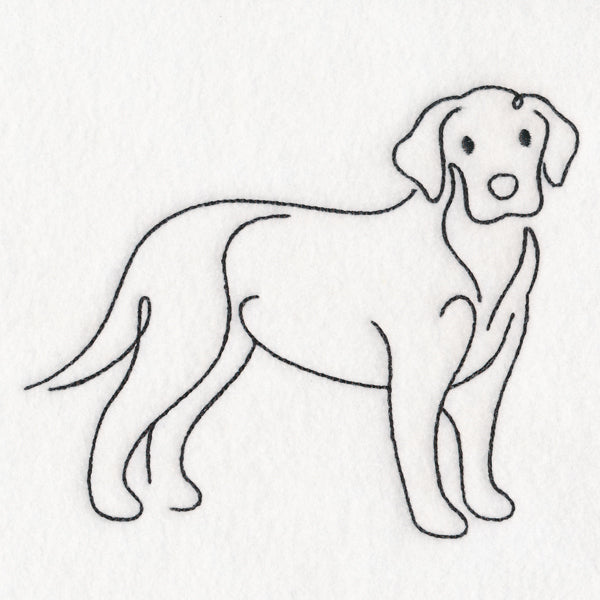 Top of the Line - Labrador