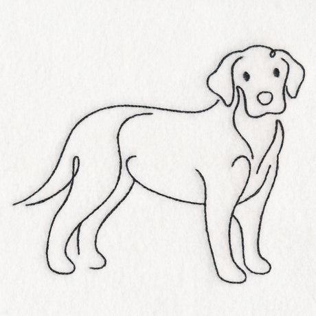 Top of the Line - Labrador