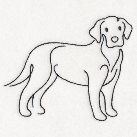 Top of the Line - Labrador