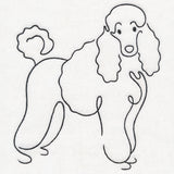 Top of the Line - Poodle