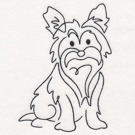 Top of the Line - Yorkie