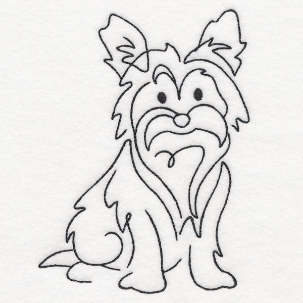 Top of the Line - Yorkie