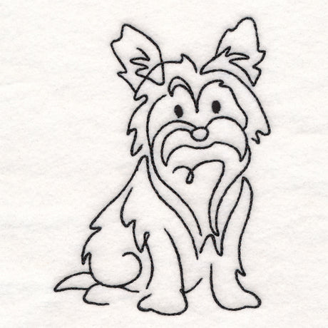 Top of the Line - Yorkie