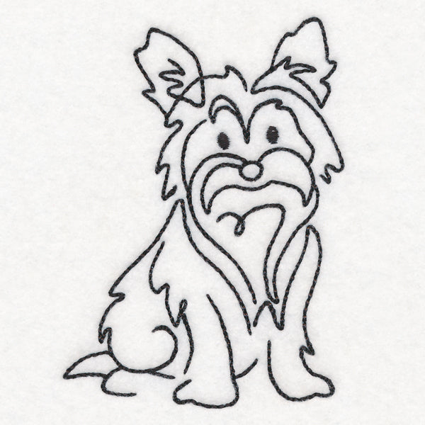 Top of the Line - Yorkie