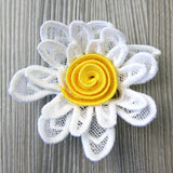 Spiral Daisy in 3D (Lace)