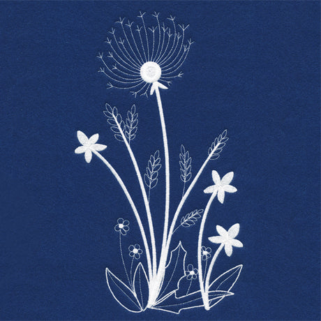 Delicate Dandelion Stems