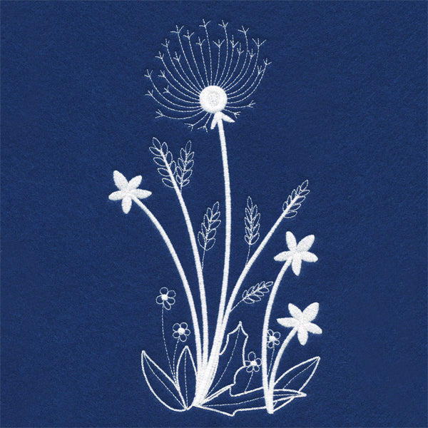 Delicate Dandelion Stems