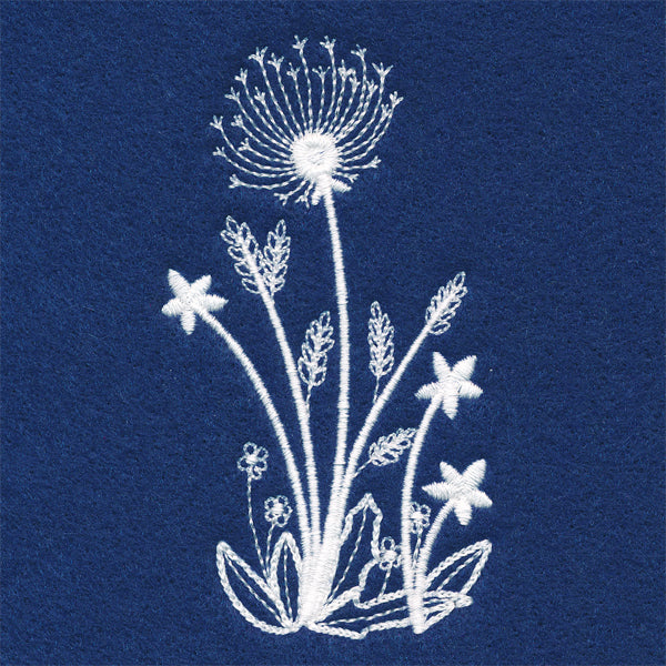 Delicate Dandelion Stems