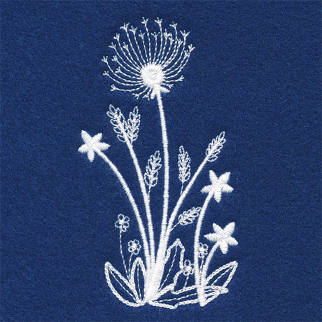 Delicate Dandelion Stems