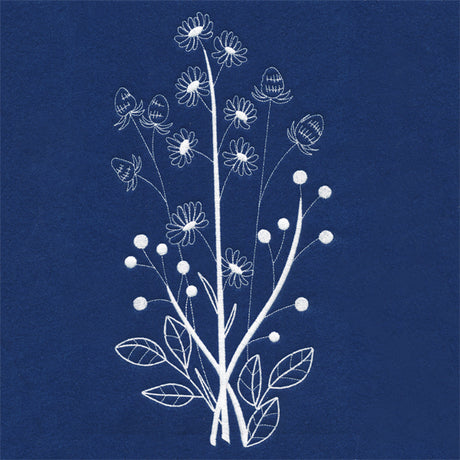 Delicate Daisy Stems