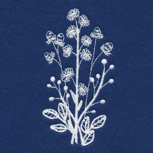 Delicate Daisy Stems