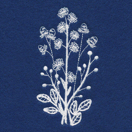 Delicate Daisy Stems