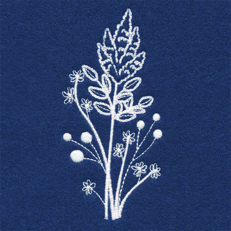 Delicate Goldenrod Stems