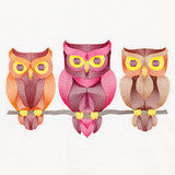 Give a Hoot Owl Trio