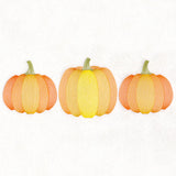 Pumpkin Patch Trio