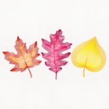 Make Like a Tree & Leaf Trio