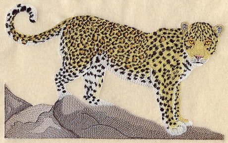 Leopard - Standing