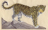 Leopard - Standing