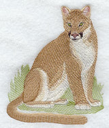 Cougar (Mountain Lion)