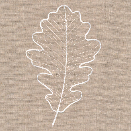 Rustic Autumn Oak Leaf