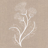 Delicate Thistle Stems