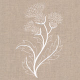 Delicate Thistle Stems