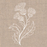 Delicate Thistle Stems