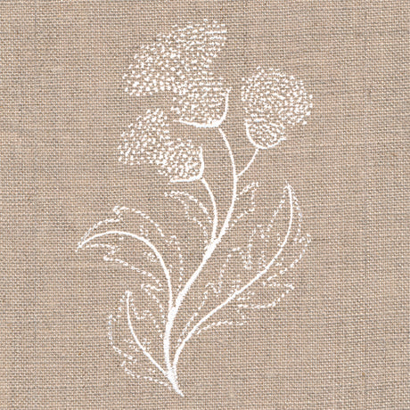 Delicate Thistle Stems