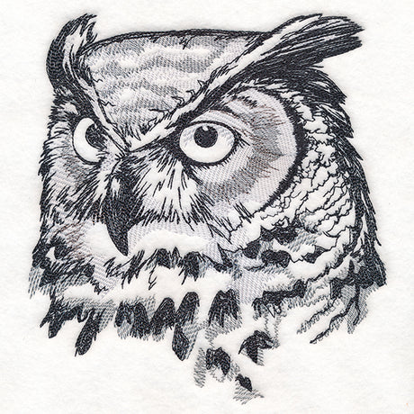 Autumn Great Horned Owl Sketch