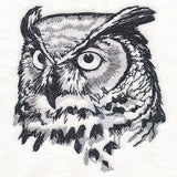 Autumn Great Horned Owl Sketch