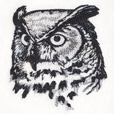 Autumn Great Horned Owl Sketch