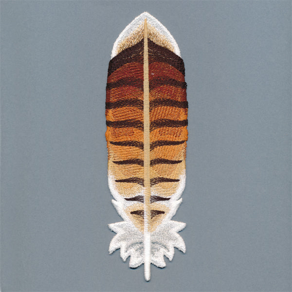 Exquisite Red-tailed Hawk Feather (In-the-Hoop)