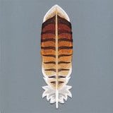 Exquisite Red-tailed Hawk Feather (In-the-Hoop)