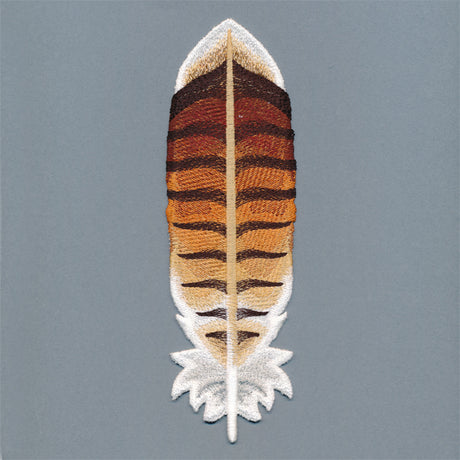 Exquisite Red-tailed Hawk Feather (In-the-Hoop)