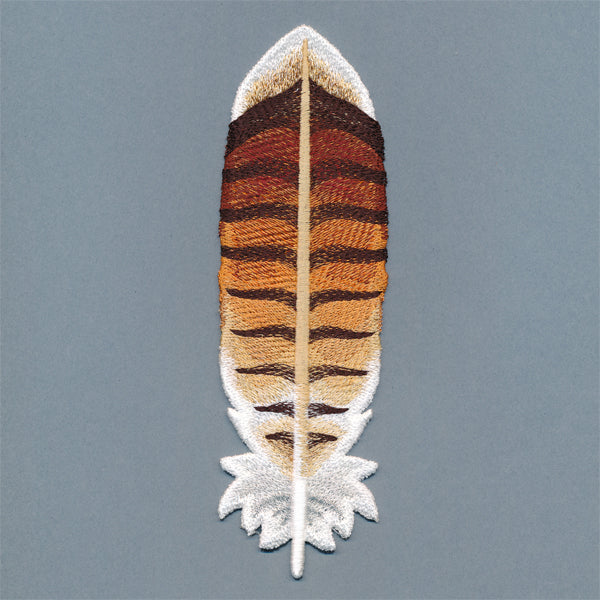 Exquisite Red-tailed Hawk Feather (In-the-Hoop)
