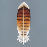 Exquisite Red-tailed Hawk Feather (In-the-Hoop)