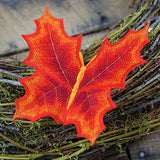 Autumn Maple Leaf Butterfly (In-the-Hoop)