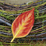 Autumn Dogwood Leaf (In-the-Hoop)