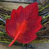 Autumn Hawthorn Leaf (In-the-Hoop)