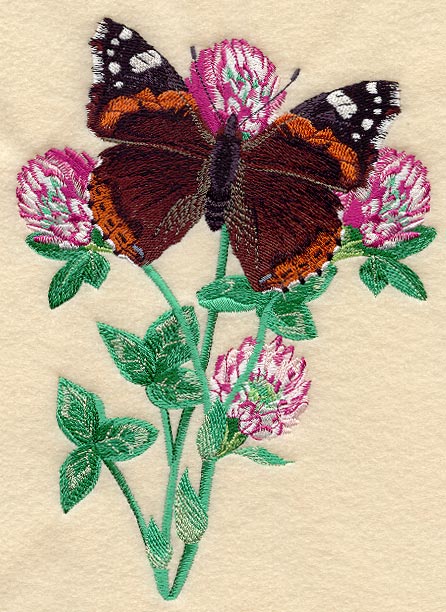 Red Admiral & Clover