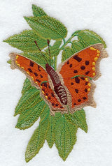 Comma Butterfly & Leaves