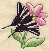 Sheer Zebra Swallowtail