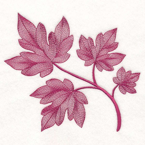 Magical Autumn Maple Leaves