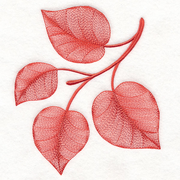 Magical Autumn Aspen Leaves