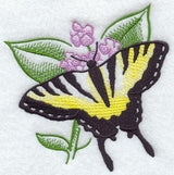 Sheer Tiger Swallowtail
