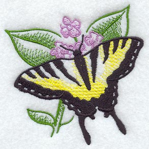 Sheer Tiger Swallowtail