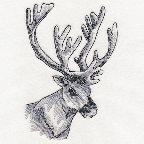 Peeking Reindeer Etching